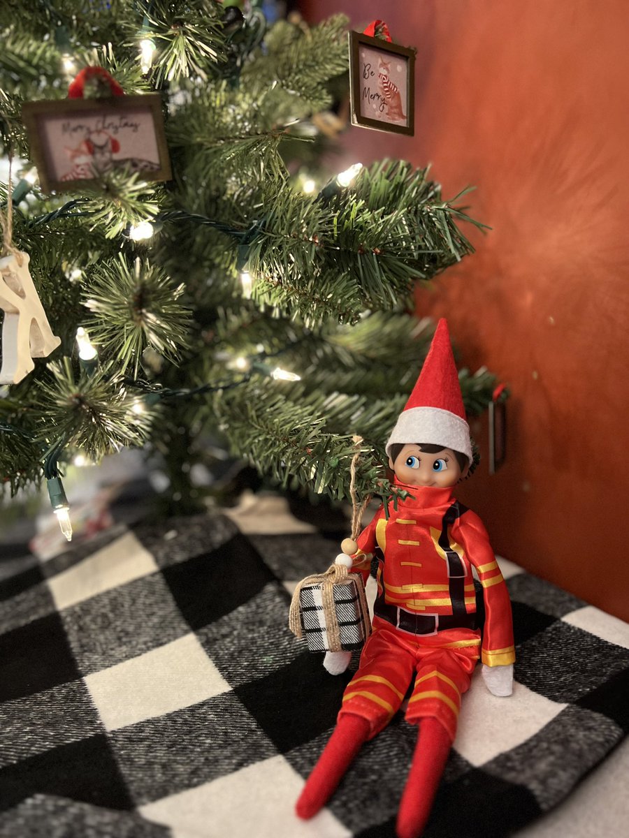 #SafetySaturday - Matches wants to remind those who have real Christmas trees, to make sure they are continuing to be watered. Depending on how big your tree is, it could take at LEAST 1 quart of water per day to keep it properly hydrated. #dontletyourtreedryout