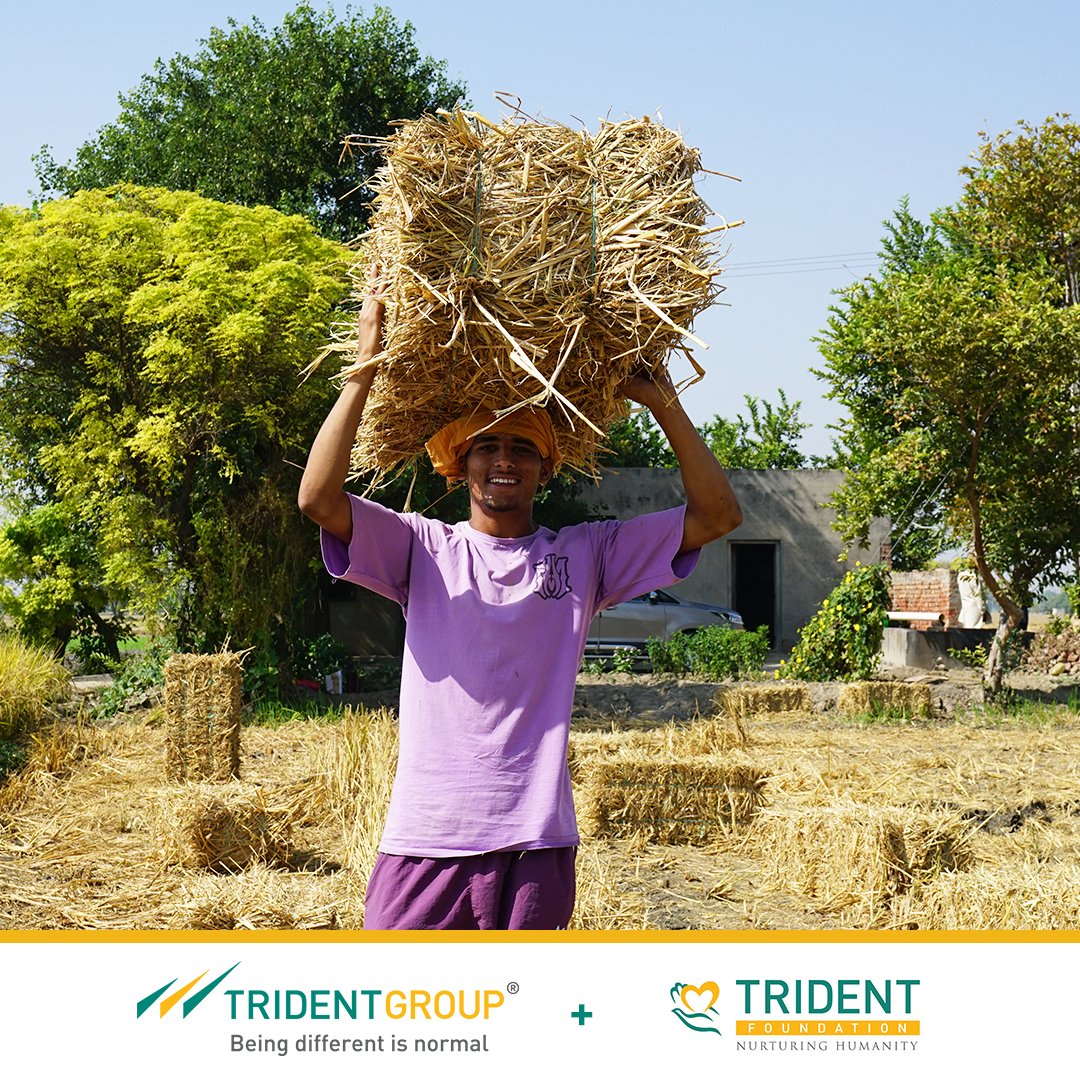 TridentCares's tweet photo. ✨️Cultivating Health and Green Futures:✨️
Celebrating Kisan Diwas by supporting farmers, promoting clean air and preventing stubble burning. 'Parali Samadhan', an initiative by Trident Foundation, leads the way to sustainable practices.🌾
 #KisanDiwas2023 #tridentgroup https://t.co/HdKKIW4A5d