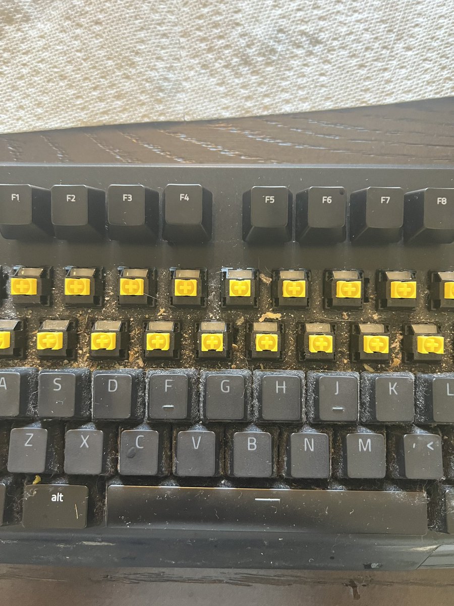 Kyokokukusamari tweet media