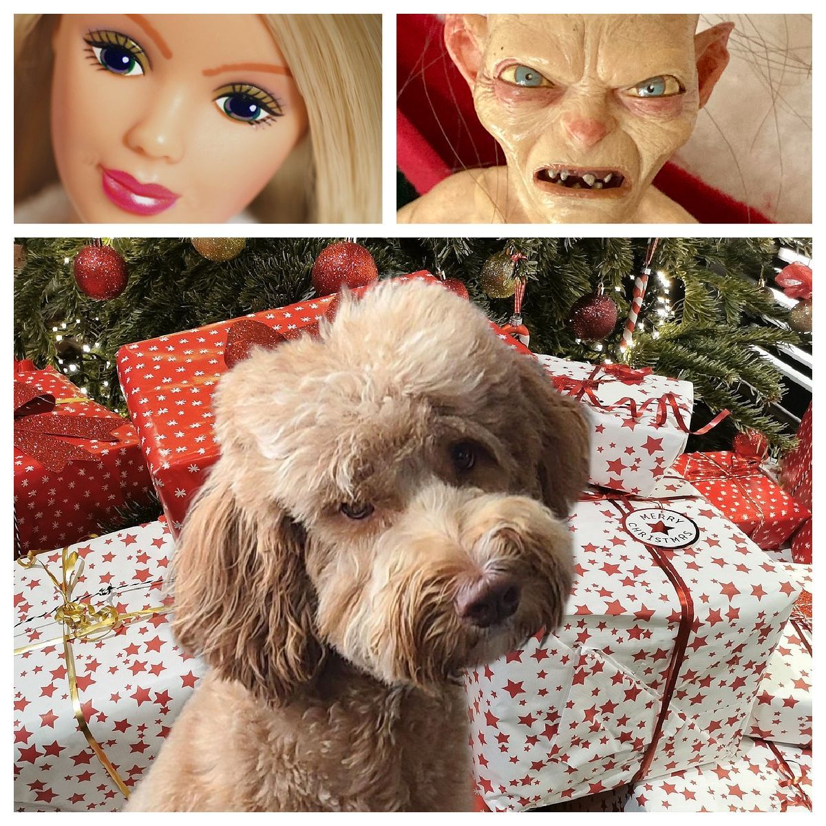 Barbie and Sméagol Surveillance 2023: Barbie and Sméagol know you peeked at your presents again. So does Vinnie. Vinnie does not approve. Only Vinnie can peek at the presents. #elfontheshelf #barbie #smeagol #dogs #author #forfun