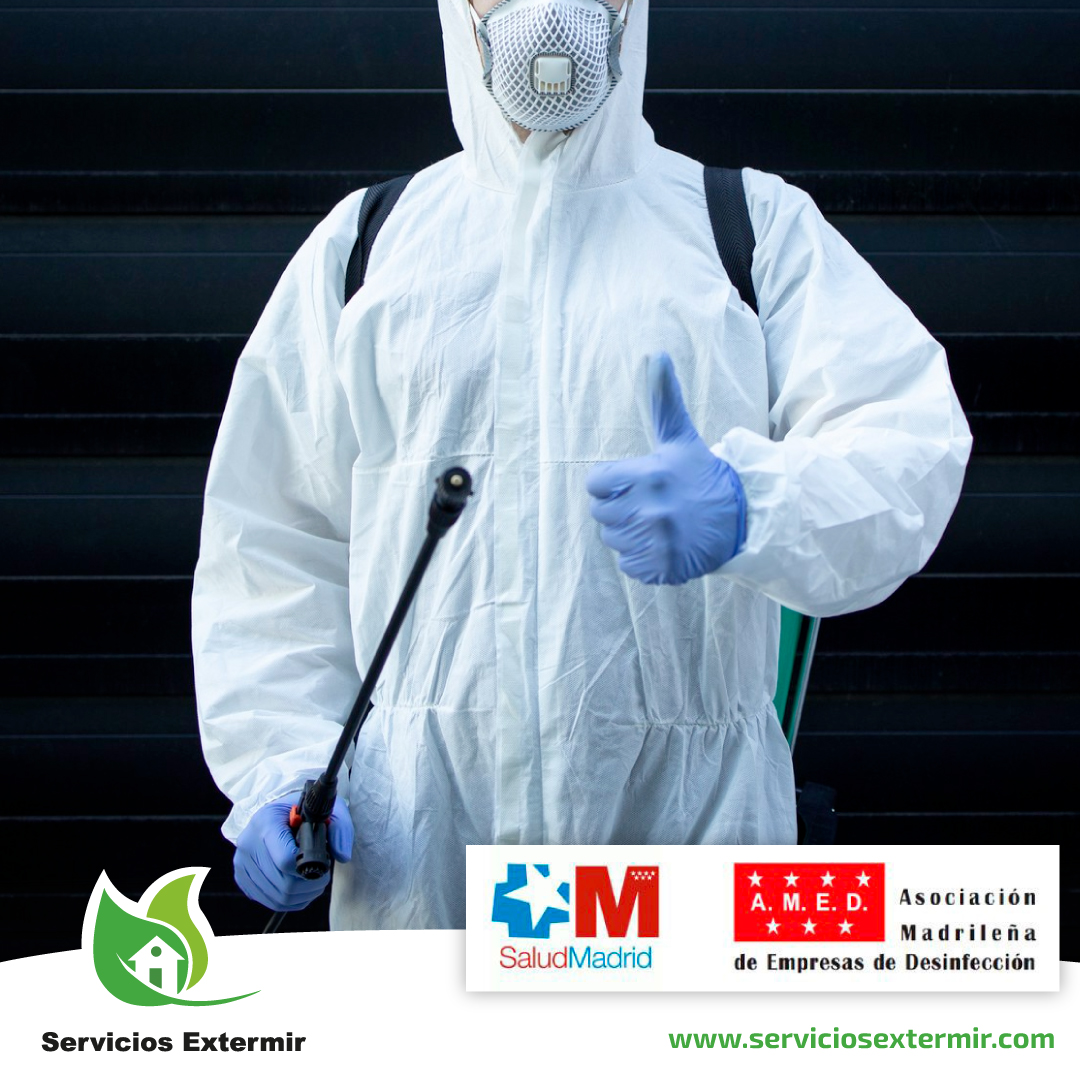 SExtermir's tweet image. Somos una empresa homologada por Sanidad y la Comunidad de Madrid ✅.

Además, contamos con técnicos aplicadores cualificados y especialistas ✨ para realizar nuestros tratamientos de forma profesional y segura.

👉🏻 ¡Conócenos!
serviciosextermir.com