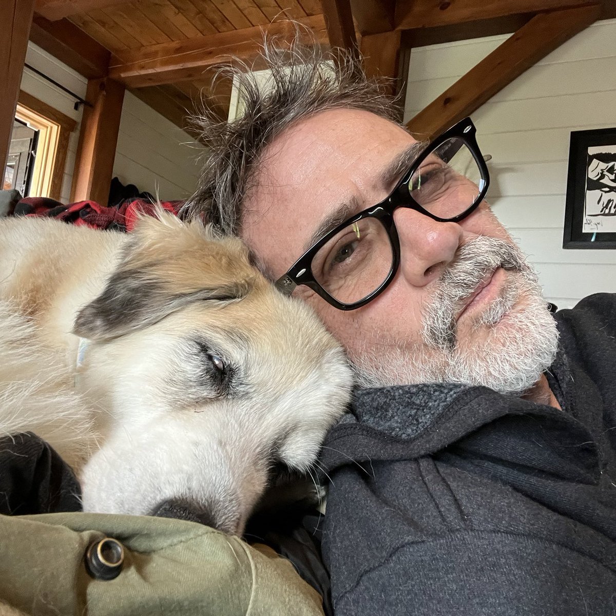 Bandit_Morgan's tweet photo. I don’t know when I’ll be here again, my insecurity with anonymity was unfortunately destroyed, but someday I’ll post again... Wishing you a merry Christmas, a happy new year and an excellent life.
— 🤍🐾 https://t.co/3jrUoUouQH