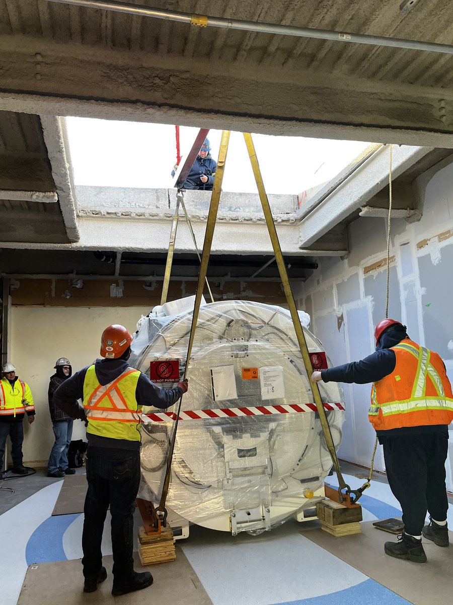 Stephen Harding tweet media