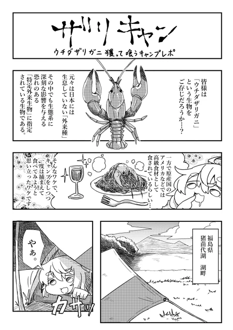 クリスマスといえばロブスター!というわけでザリガニ獲って食べたキャンプレポ漫画再掲するね(!?)暇つぶしにどうぞ!1/4 