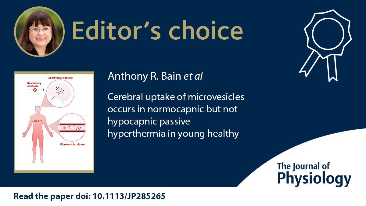 Journal of Physiology (@jphysiol) on Twitter photo 🎓EDITOR'S CHOICE🎓
This study by <a href="/BainPhd/">Anthony Bain, PhD</a> (<a href="/uwinkinesiology/">UWindsor Kinesiology</a>) et. al. shows that the hypocapnia protects the brain from elevated penetration by microvesicles, which otherwise might cause cerebral inflammation!
📜buff.ly/46XMkuU 🎓EDITOR'S CHOICE🎓
This study by <a href="/BainPhd/">Anthony Bain, PhD</a> (<a href="/uwinkinesiology/">UWindsor Kinesiology</a>) et. al. shows that the hypocapnia protects the brain from elevated penetration by microvesicles, which otherwise might cause cerebral inflammation!
📜buff.ly/46XMkuU