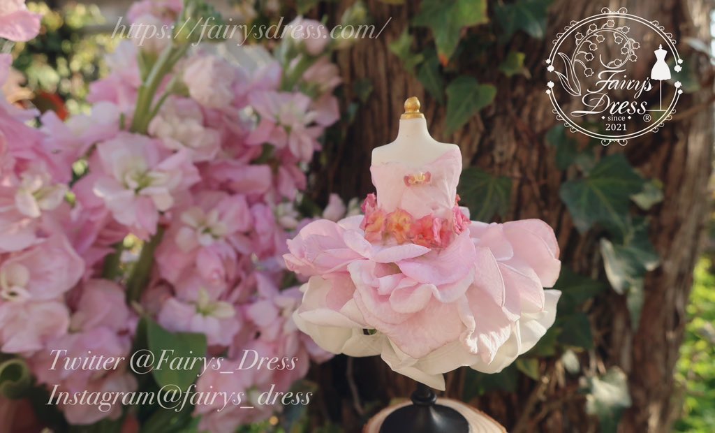 Fairys_Dress's tweet photo. #多分私しかやってない

育てたお花を主に使って妖精のドレスを作っています。
子どもの頃からずっとガーデニングとファンタジーの世界が好きです。

#fairysdress https://t.co/bZCVX2JqlV