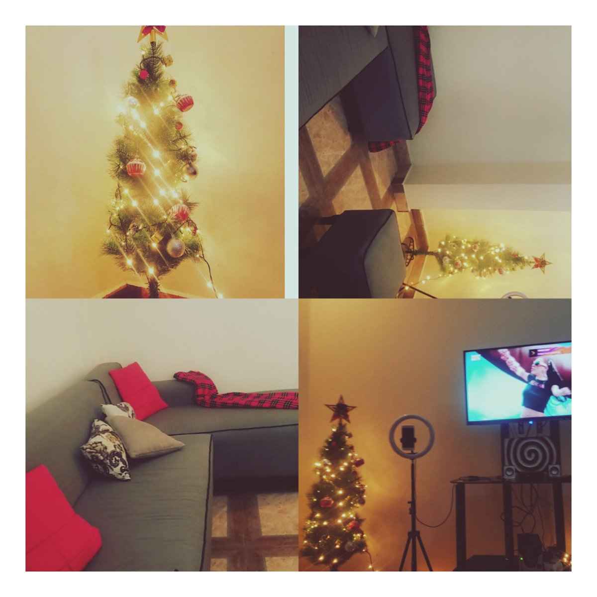 alida_eboo's tweet image. Joyeuses fêtes à tous!!!!
#EspritDeNoël #JoyeusesFêtes