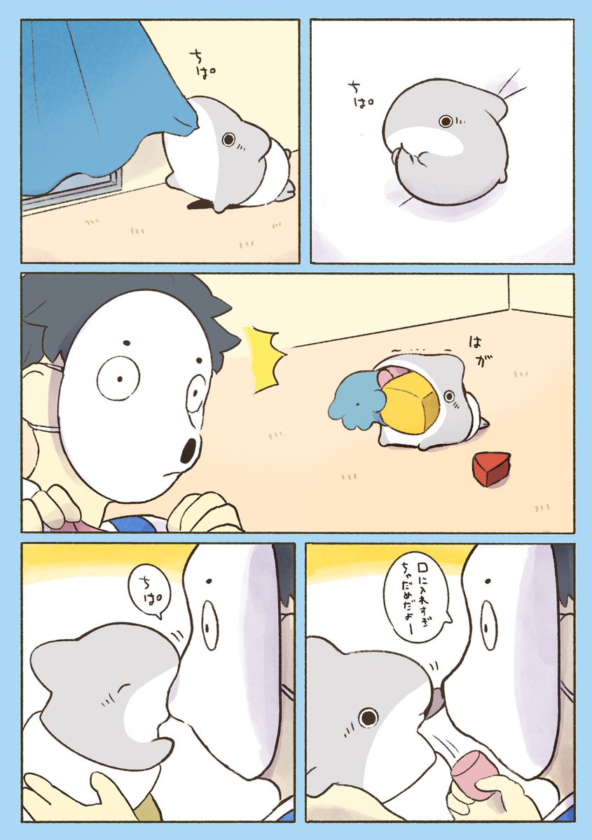 ベビー子ザメ すいつき