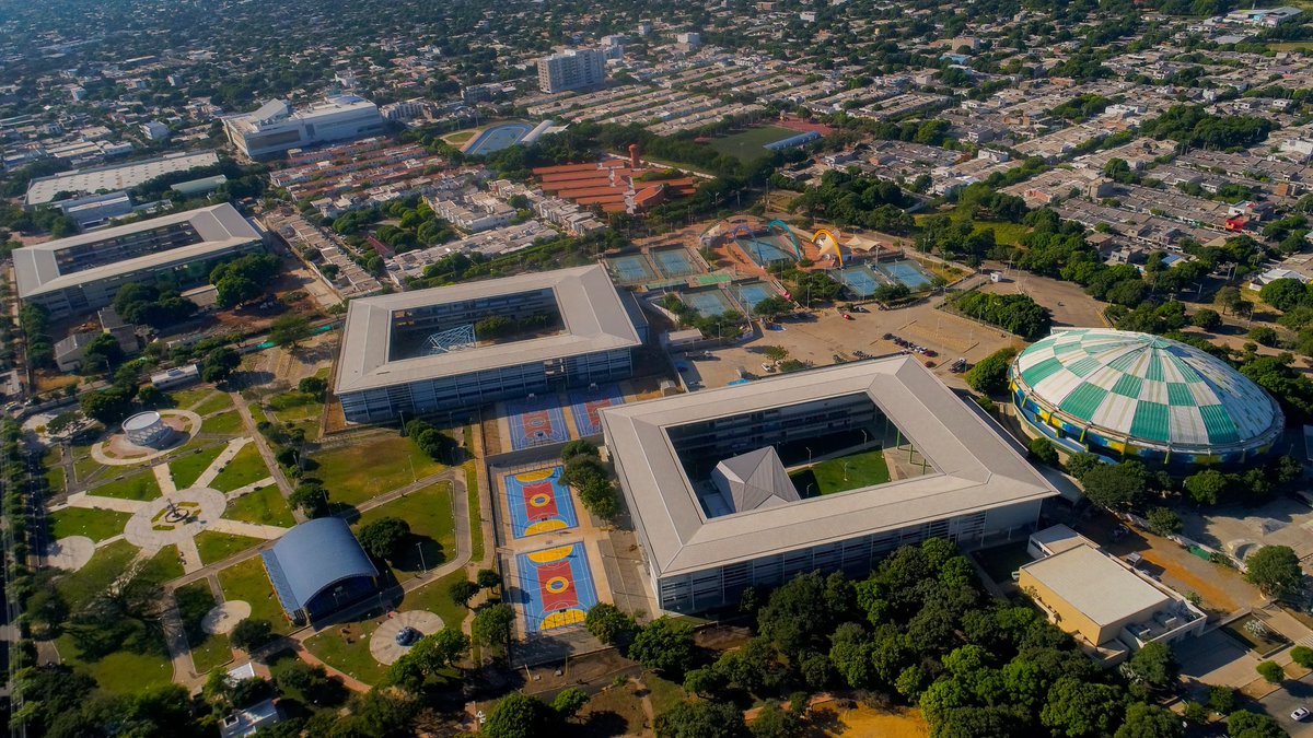 Lina M. Castellar A.🦋 tweet media