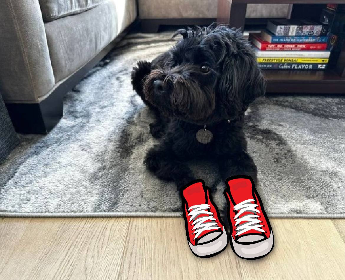Namini33's tweet photo. @toly @rajgokal @rajgokal is an absolute Chad.

It's only a matter of time before Solana flips everything. Most people might doubt this, but we will all witness the flippening. SOL got those #SHOES 👟 

@solana, history in the making. https://t.co/fWe0yRyeOt