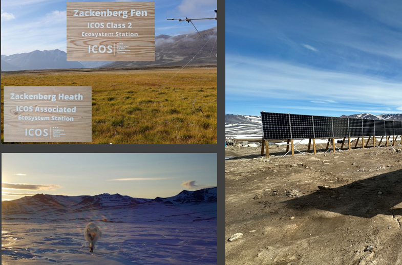 Zackenberg Research Station tweet media
