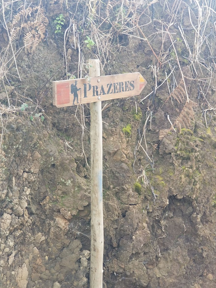 orlandodardenjr's tweet photo. #lavada trails #madeira #madeiraisland #NaturePhotography https://t.co/kRWTuhWb7d