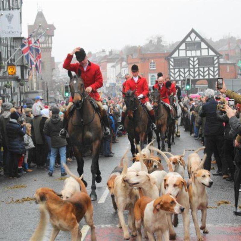 Time for the Boxing Day hunt parades to end. Councils need to stand up to these wildlife criminals. RT if you agree! And drop us a follow as we work to end all hunting with hounds in 2024. @ProtectTheWild_