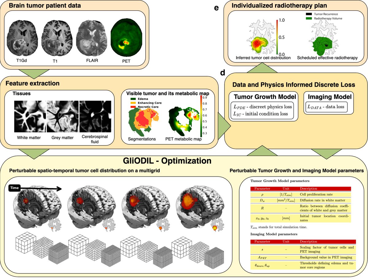 New paper👉 Glioma Radiotherapy Design by Optimization of a Data and Physics Informed Discrete Loss or GliODIL 🧠 It improves the accuracy of estimating tumor cell distribution and predicting tumor recurrences via brain tumor modeling. Link to paper: arxiv.org/abs/2312.05063