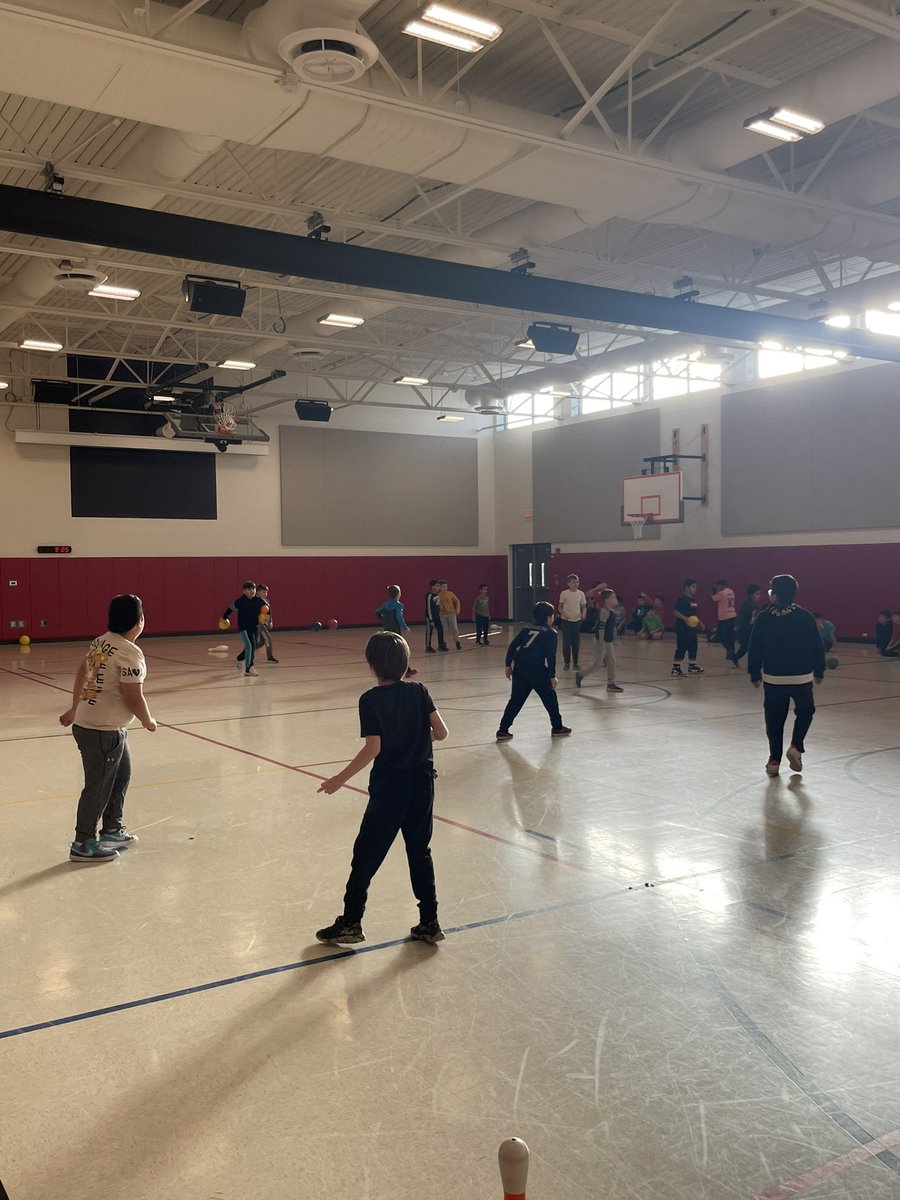 Farah Daoud tweet media