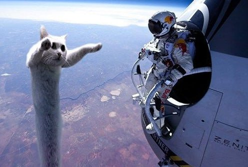 LongAhhCat's tweet photo. HI ASTRONNOT IM LONG CAT, HOW ARE YOU? :3 

$LCAT https://t.co/kdXDM3VwgQ