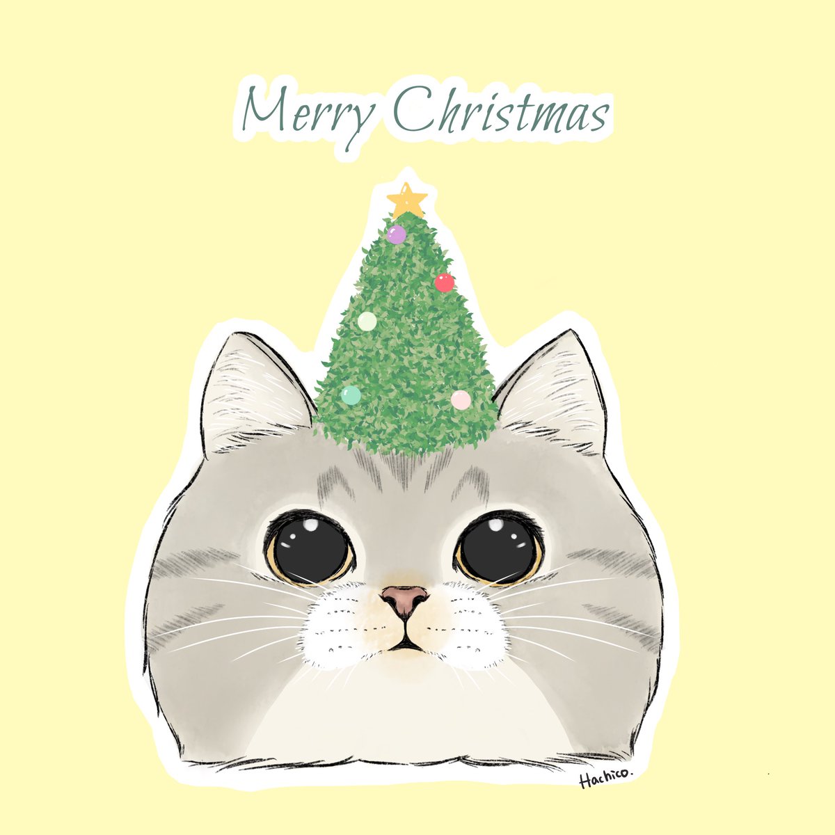 少し早いけど、メリークリスマス🎄🎅🎁

 #MerryChristmas
 #MerryChristmas2023