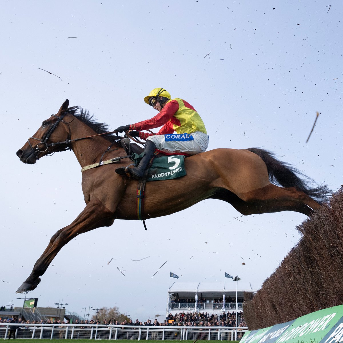 RacingPost's tweet photo. Triple Trade WINS the Howden Handicap Chase at Ascot in a thriller! 👏 https://t.co/FGdTfbNUw8