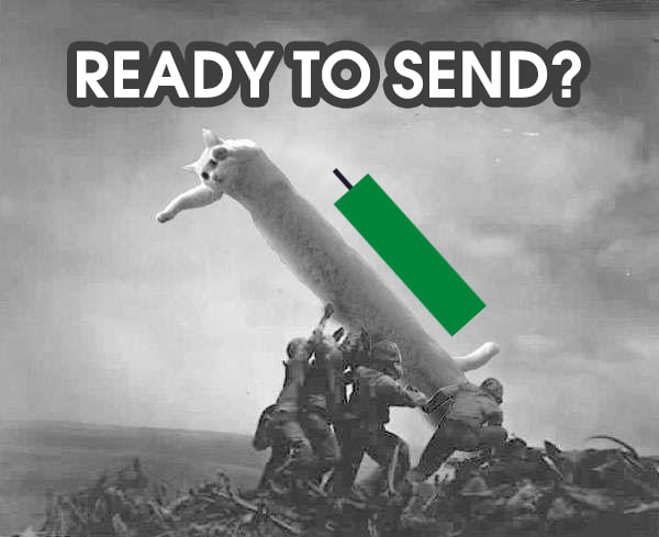 LongAhhCat's tweet photo. The LOOOOOOOOOONG AHHH CAT is here to stay. 

Send it, blast off. $LCAT 😼🚀 https://t.co/Br5JV1p5qa