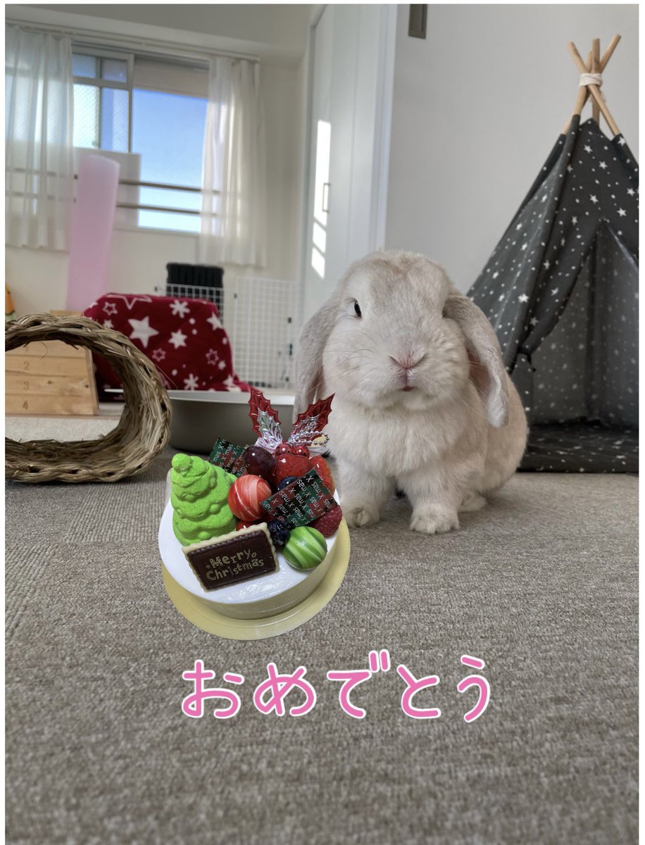too_BirdiE's tweet photo. @TAZZAN_DDS たっつぁんさん&amp;むぎちゃん！！
お誕生日おめでとうございます🎊 https://t.co/YJfDp241nk