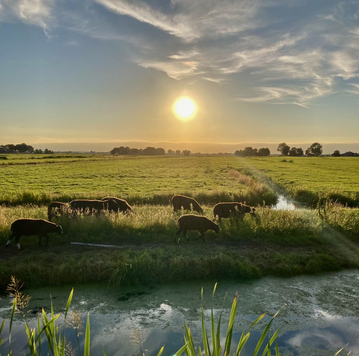 Want zo lief heeft God de wereld gehad, dat Hij Zijn eniggeboren Zoon gegeven heeft, opdat ieder die in Hem gelooft, niet verloren gaat, maar eeuwig leven heeft. Een fijne avond en een goede #zondag toegewenst. Op weg naar #Kerst.