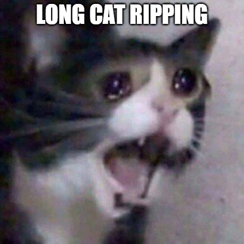 LongAhhCat's tweet photo. 😭 https://t.co/u5aFy4wpbH
