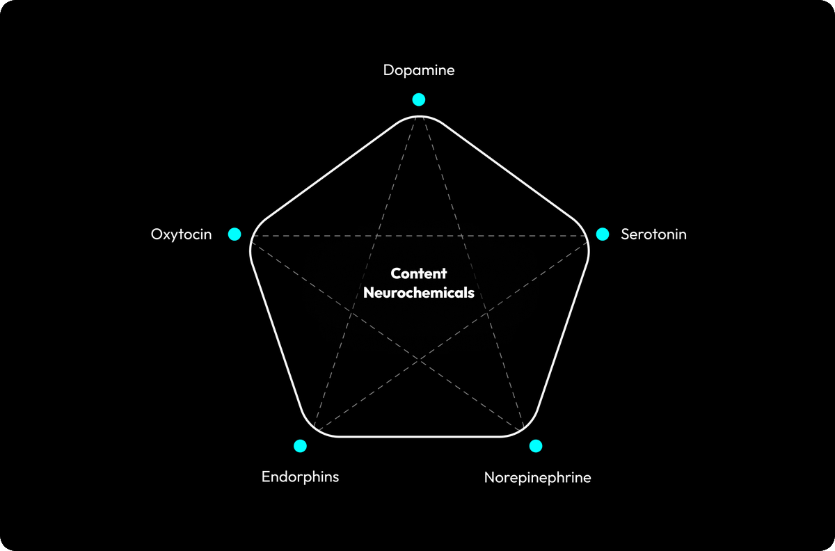 displayzendev's tweet photo. Neurochemicals for content ↓

When you are creating content or products, you need to target the release of these chemicals

Here’s how: https://t.co/fSRW0QjJKo
