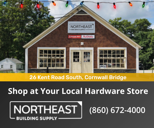 NBSCornwall's tweet photo. Shop at your local hardware store this holiday season! Find all your favorite products and more when you visit 26 Kent Road South in Cornwall Bridge today.

#northeastco #northeastarchitectural #jointeamnortheast #home #homedesign #inspiration #design #style #luxuryhome https://t.co/m5eVnt5Bva