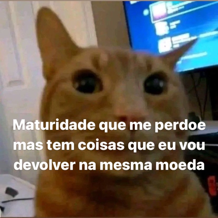 Itspedrito's tweet photo. me perdoe https://t.co/THzqTiICsv
