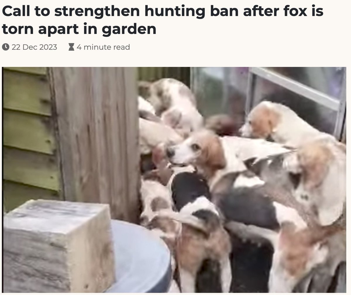 When is madness going to end? How many more times do we need to share sickening scenes like this?!!

The resident, who wishes to remain anonymous, tried calling off the hounds, but despite screaming and shouting, nothing worked and she was left feeling traumatised..