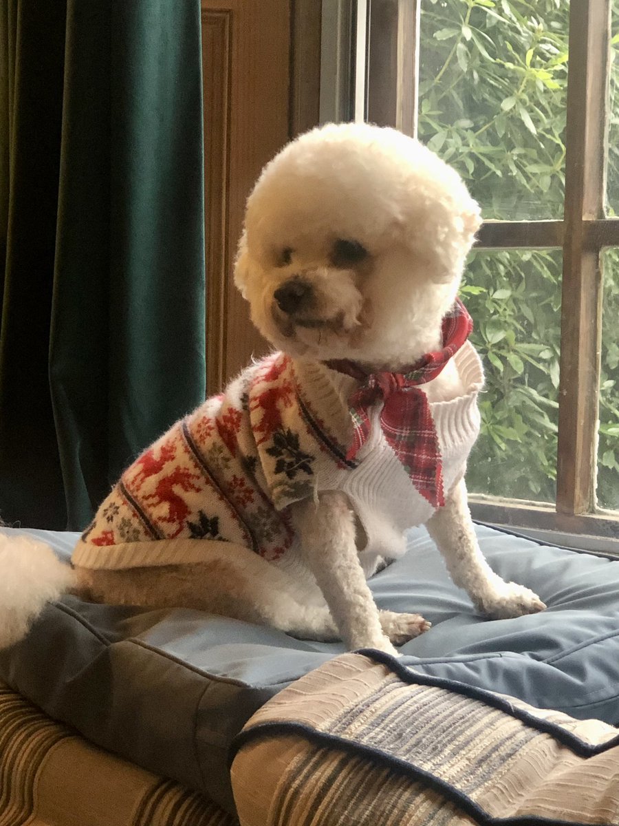 Tony Maudsley tweet media