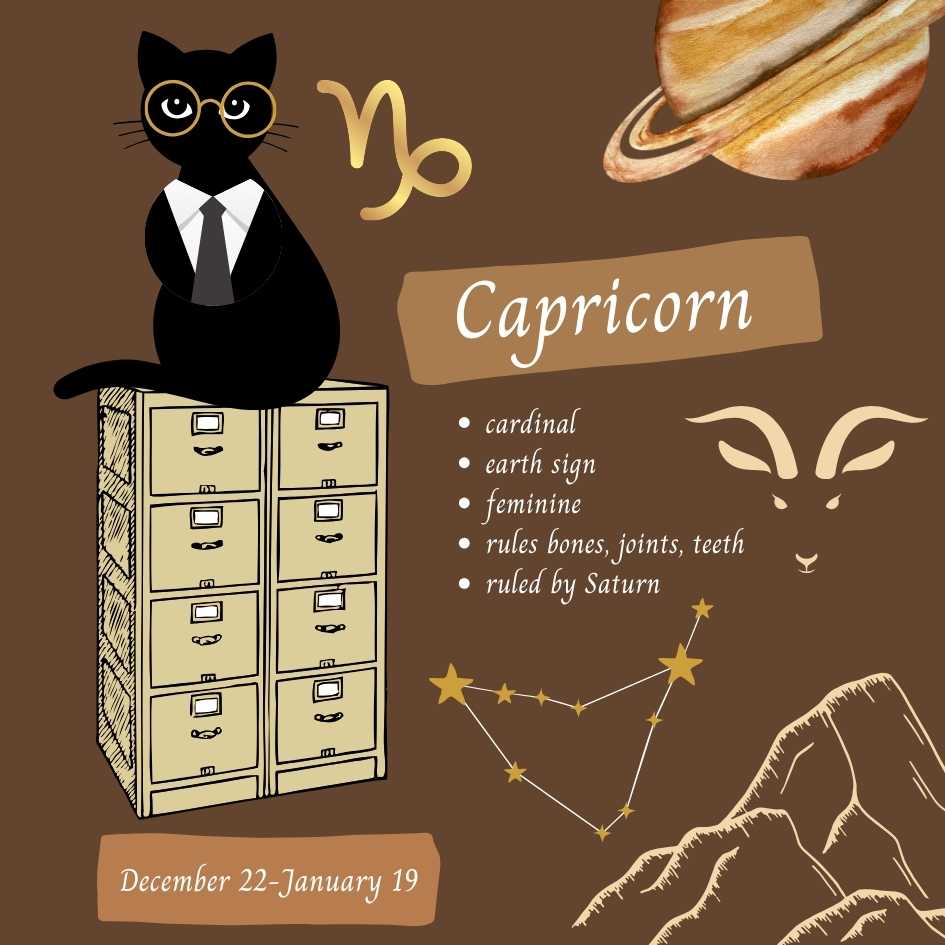 ClowderPress's tweet photo. Capricorn cat time. Forget the playful companion. Strictly business here. Withers cat toys at a glance.  Always seeks the highest point in a room to show who's boss and supervise workplace discipline. Learn more from Stella Hyde in The Feline Zodiac   https://t.co/vRWnTPGbQF. https://t.co/5p5yJ6GABM