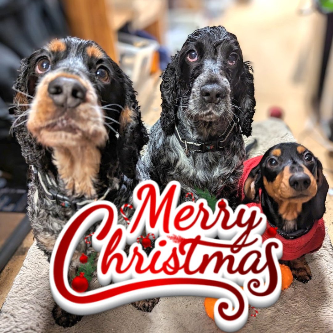 PPPCRglasgow's tweet photo. And that's a wrap....

From myself and the pups, thank you to each and everyone of our amazing clients for an amazing 2023.

We'll be back open for business 8th January 2024.

Merry Christmas and Happy New Year 🎄🎆 https://t.co/DrspdgTq85