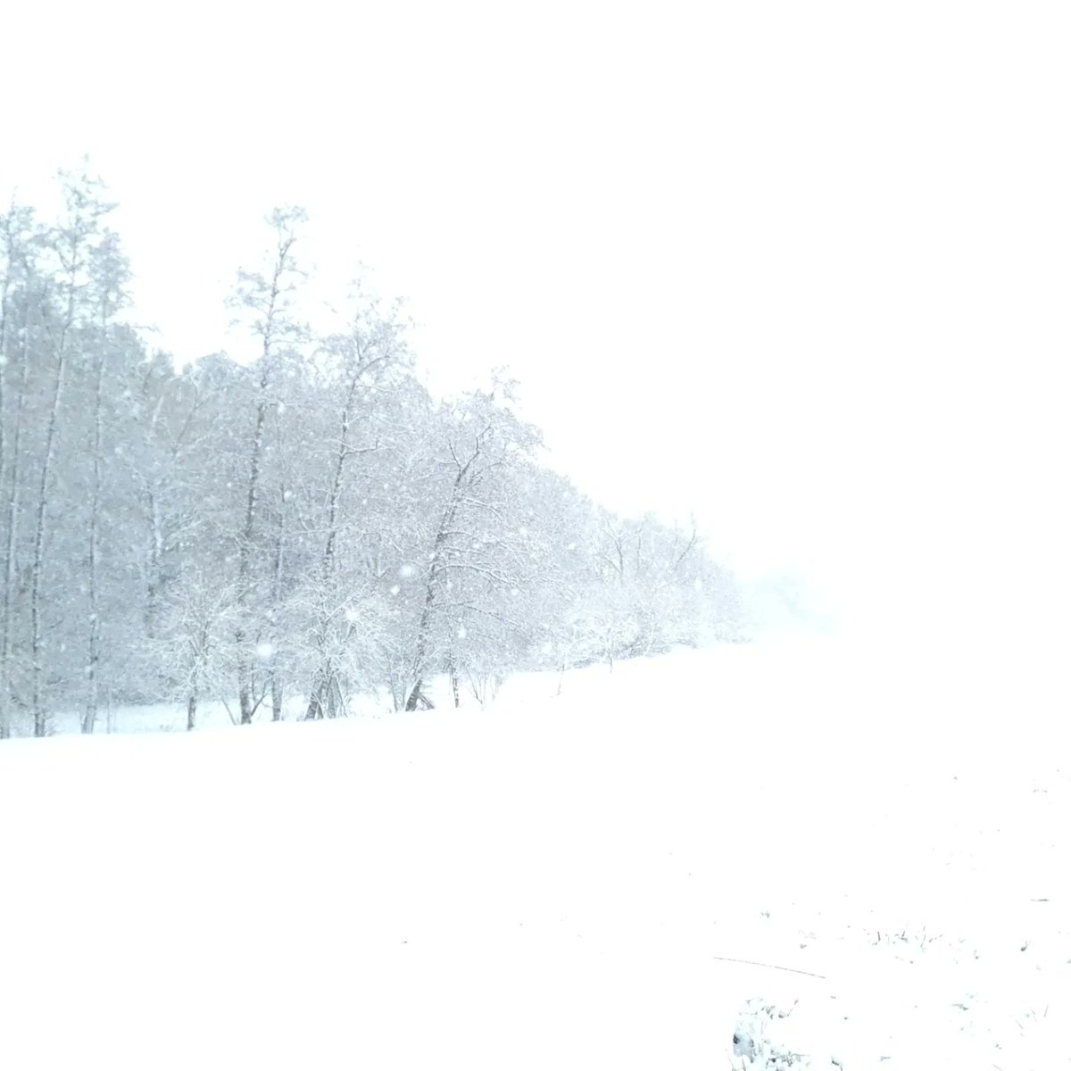 Zima okolo Štípy a Velíkové...
.
.
.
#Zlín #Czechia #Zlínskýkraj #sky #plant #naturallandscape #snow #freezing #winter