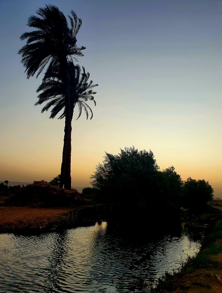 مساء الخير 
يارب العوض الجميل بعد الصبر الطويل