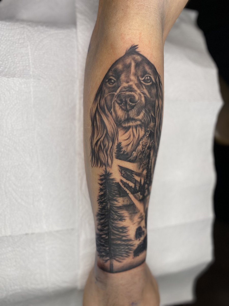 HOPXINS | nVn 🏴🐑 tweet media