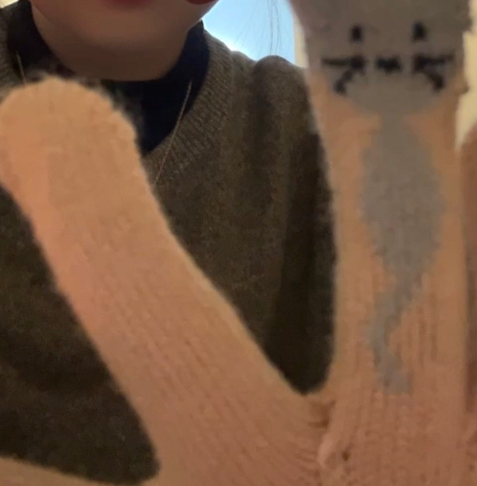 귀여운 장갑을 얻었다