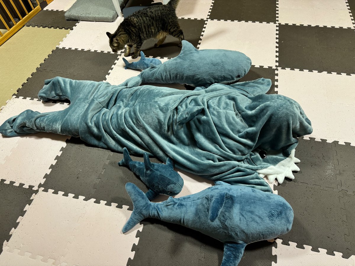 マクー tweet media