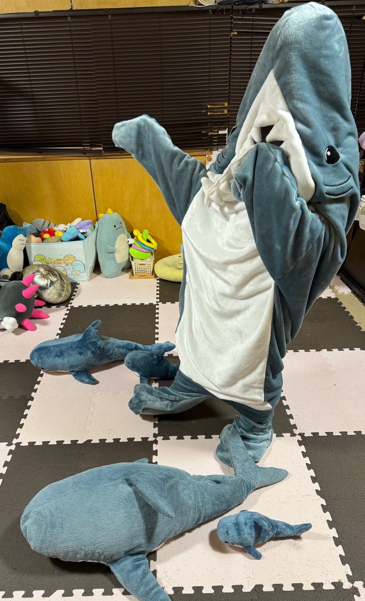 マクー tweet media