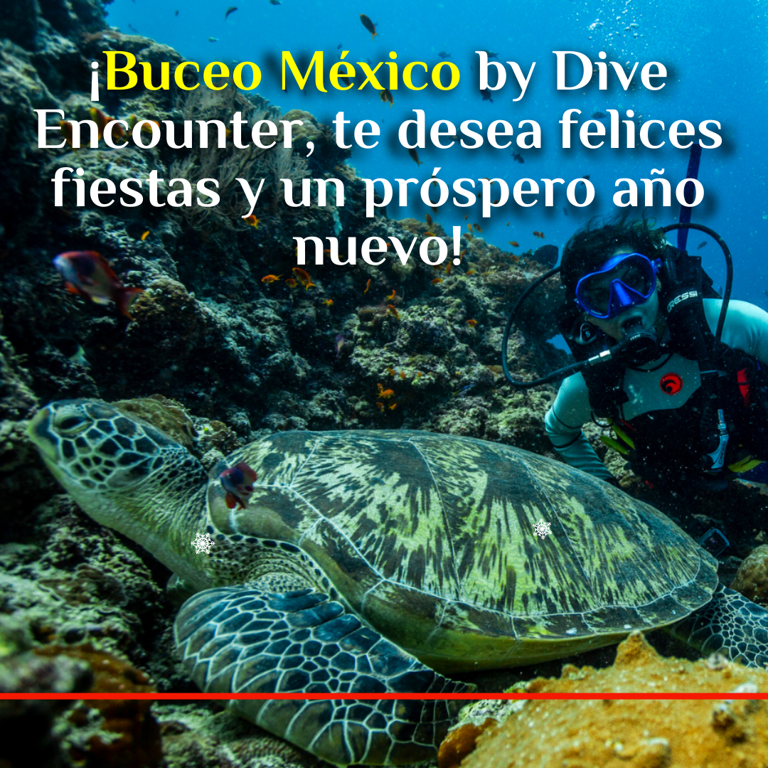 ¡Buceo México by Dive Encounter, te desea felices fiestas y un próspero año nuevo!