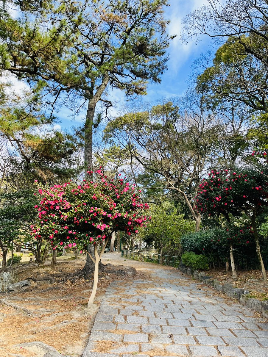名古屋フェニックス個撮、オフ会にご参加下さった皆様ありがとうございました^_^
公園撮影📷クリスマスケーキ🍰プレゼント🎁誕生祝い🍾🎂🍷沢山ありがとうございます♡
最後、時間押して握手のみでごめんね🙇

来年も毎月第4土曜に名古屋よろしくお願いします♪
奇数月の第4日曜はパン教室名古屋です🍞 https://t.co/4hiOAPkWLe