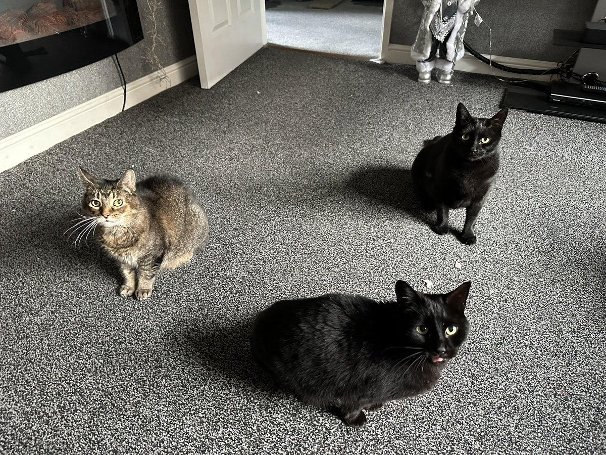 Emm 🌙✨ tweet media