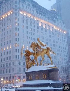 The CHRISTMASTIME series – a.co/d/eFJy5tV
#readingcommunity #Christmas #Books #whattoread #weekendreads #ChristmasMagic #Reading #Manhattan #homemade #cozywinter #literature #PlazaHotel #NYCBooks #NYC     
A New York City Christmas