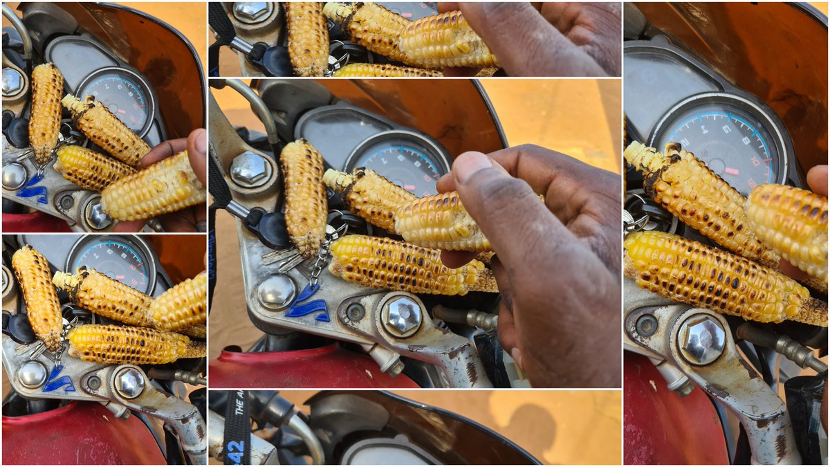 🌽🔥 Le #maïs grillé, une délicieuse aventure #croustillante
 
Un #plaisir simple qui réchauffe le #cœur 😍

Qui veut se #régaler avec moi ? 🌽😋

#LaVieDeRach