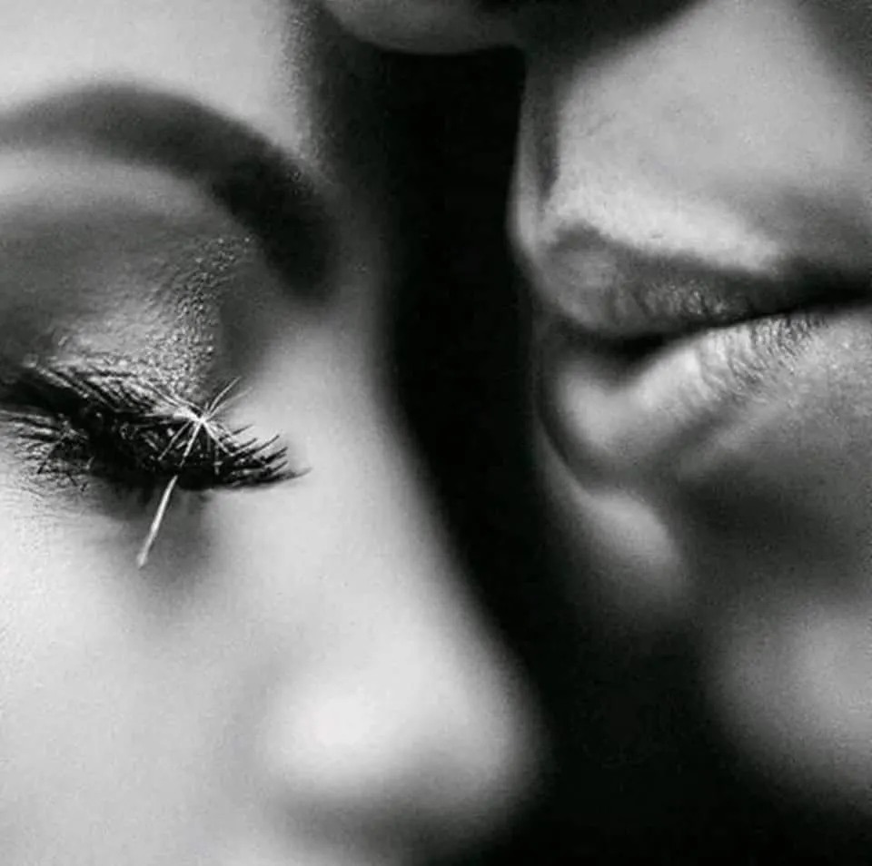 Révolution (@ne0_redd) on Twitter photo ,
 özlemek - ne acımasız bir bölünme 
iyi akşamlar      🩶
. ,
 özlemek - ne acımasız bir bölünme 
iyi akşamlar      🩶
.