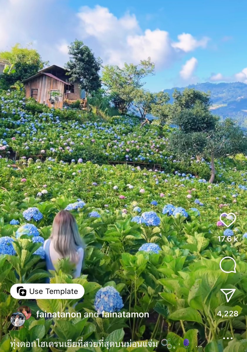Yumie_yuni's tweet photo. yasss dah la murah lepas tu tempat pulak cantik-cantik . No wonder ramai suka pergi Thailand. https://t.co/YHJis19zag
