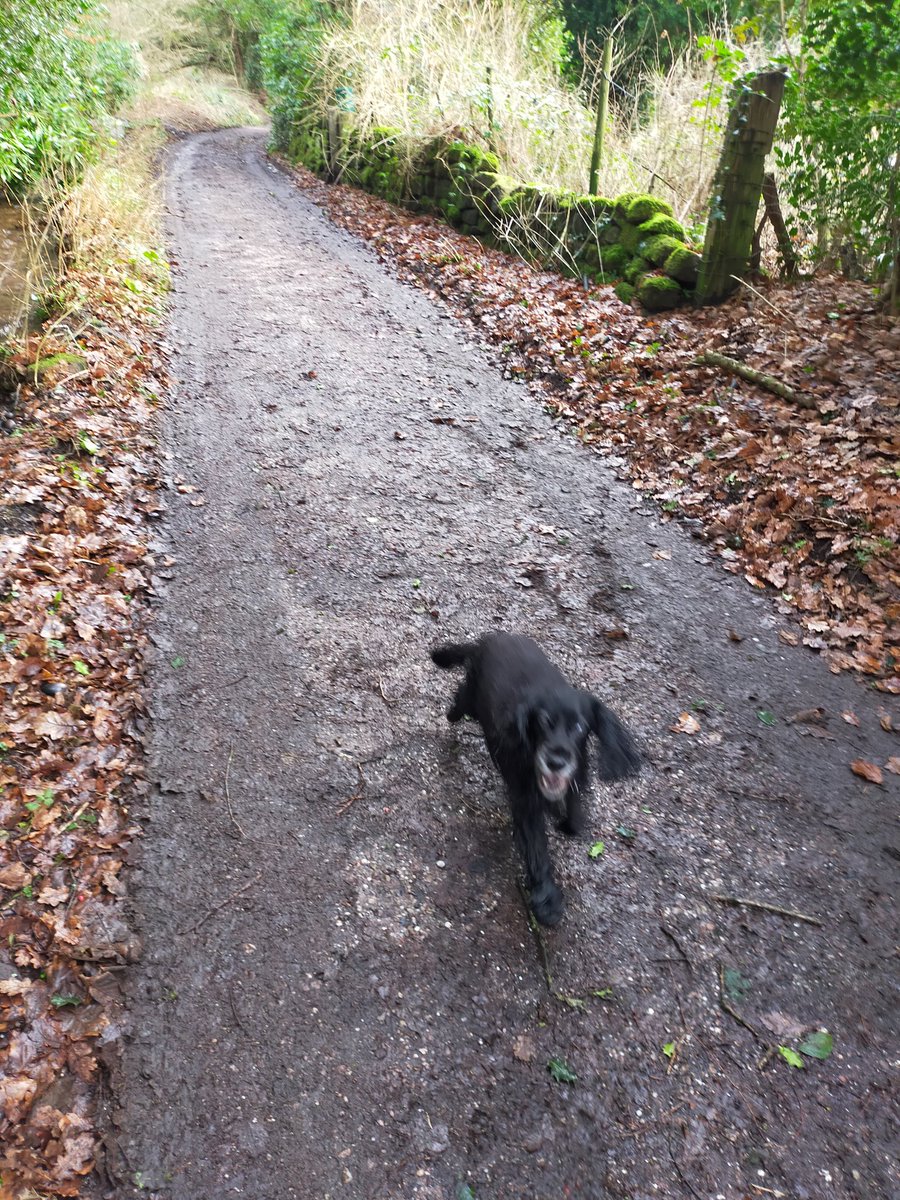 Mteasel67's tweet image. A good morning's spannering Been done today , #farfromthemaddingcrowd