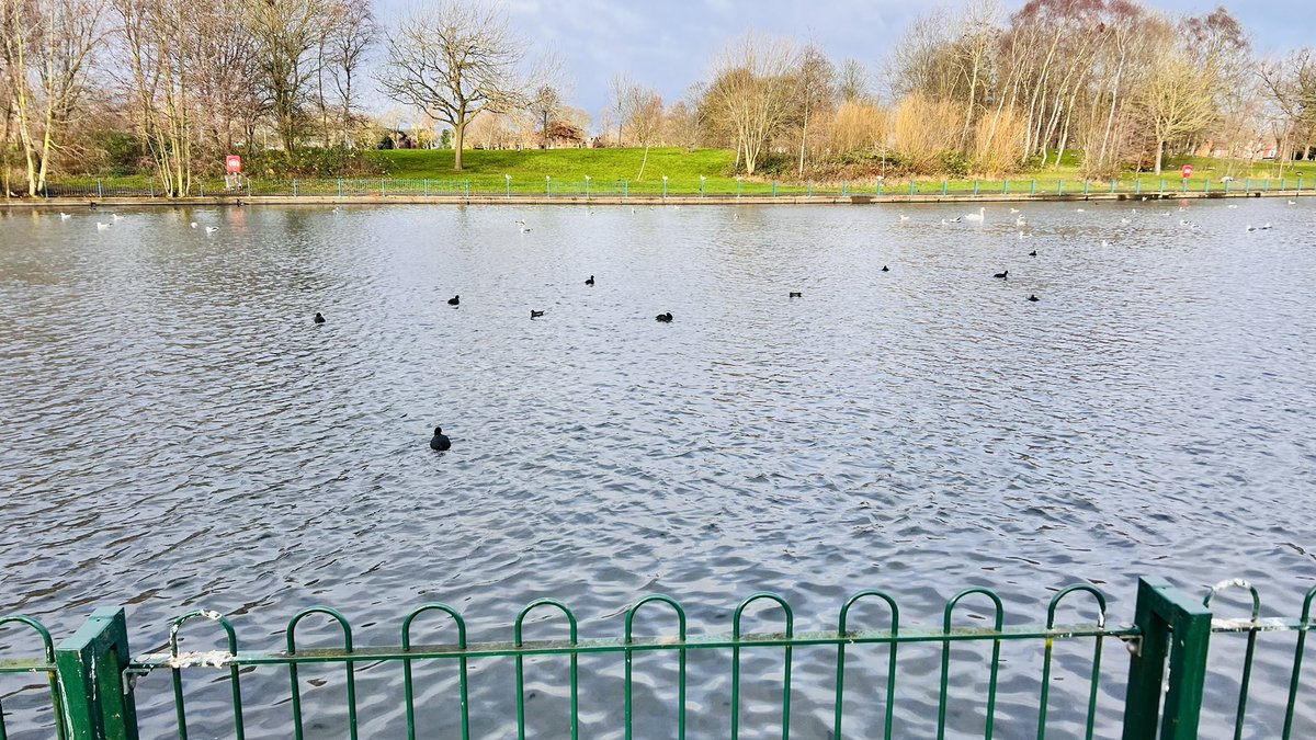CllrMajid's tweet photo. Amazing to see the transformation at Small Heath Park after @BhamCityCouncil contractors carried out a cleanup 💚

We need everyone to respect all of our open spaces - please don’t use them as a dumping ground as we don’t have the resources to keep cleaning up like this. https://t.co/TIBrYHM2Tn
