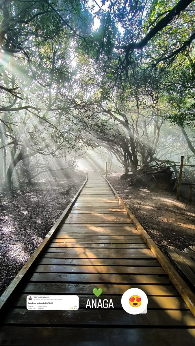 Garoci_'s tweet image. El tramito del sábado, subiendo volumen de km al golpito y nos vemos este panorama y es que Anaga no defrauda. Que maravilla 😍