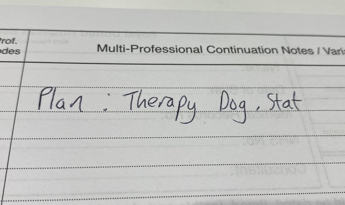timricketts_'s tweet photo. Can someone bleep the Dogtor please? https://t.co/dHgBb78ws1